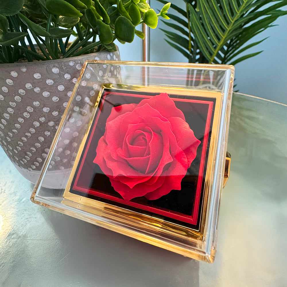 Braver Name - Daughter Birthday Necklace with Rose Box